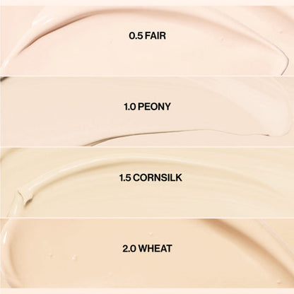 Bye Bye My Blemish Concealer