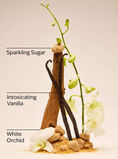 Warm Vanilla Sugar Body Cream